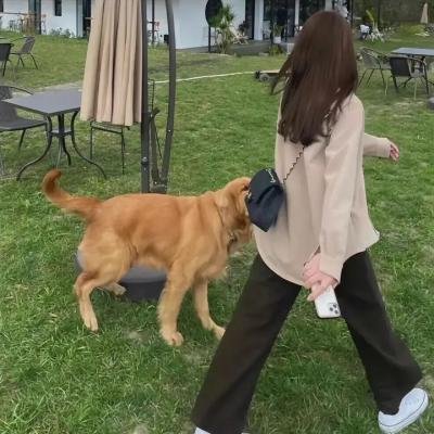 悬疑犯罪